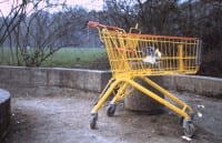 online-shopping-einkaufswagen