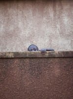 uganda-menschen-bilderserie