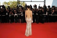 Dschungelcamp Stars Reality Tv