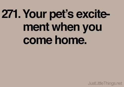 Alltagsglück Just Little Things