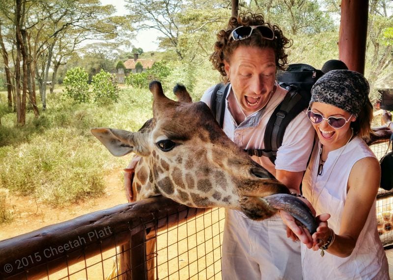 Cheetah Platt Rhian Woodyard Akrobatenpaar Weltreise Hochzeit