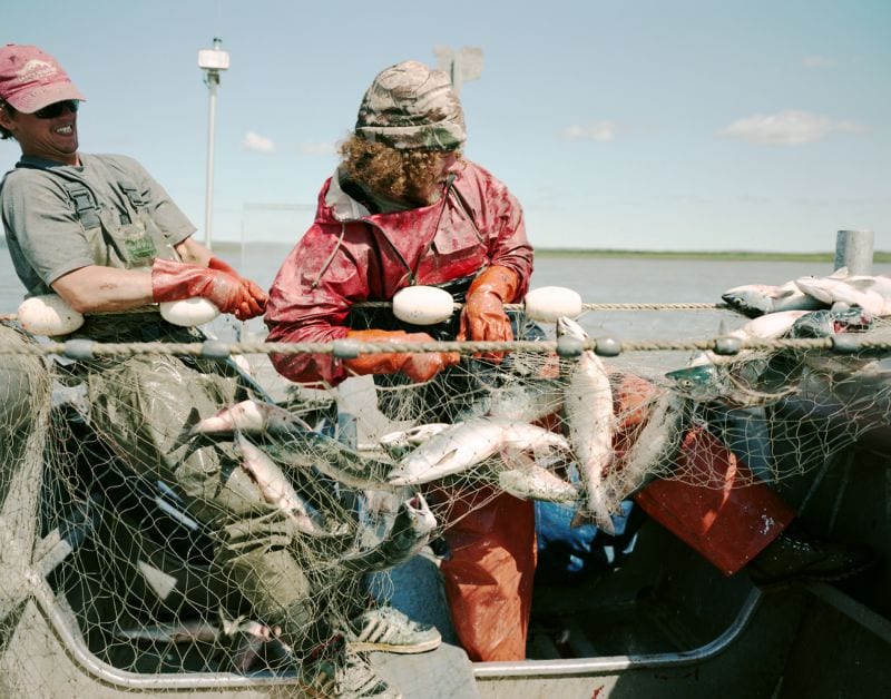 Terry Ratzlaff The Tide Goes North