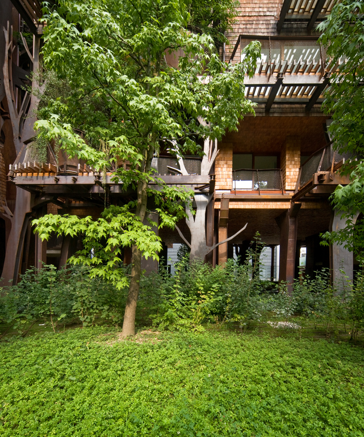 Luciano Pia Umweltschutz Architekt Nachhaltigkeit