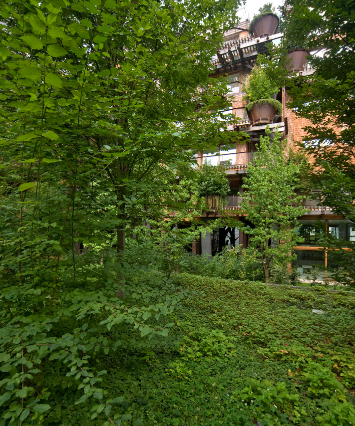 Luciano Pia Umweltschutz Architekt Nachhaltigkeit