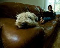 Tipps für Gemütlichkeit Wohlfühloase