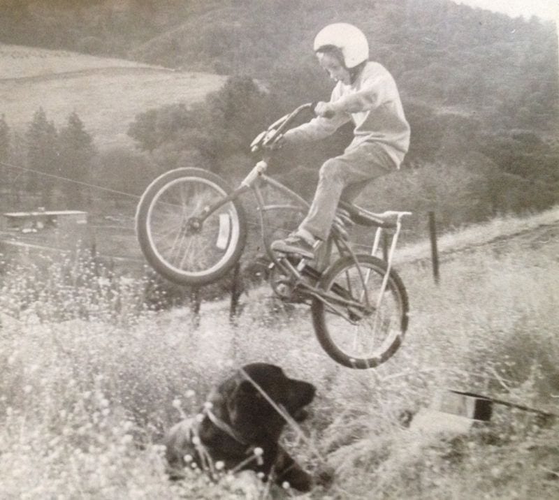 Awesome16 Fahrrad Hund