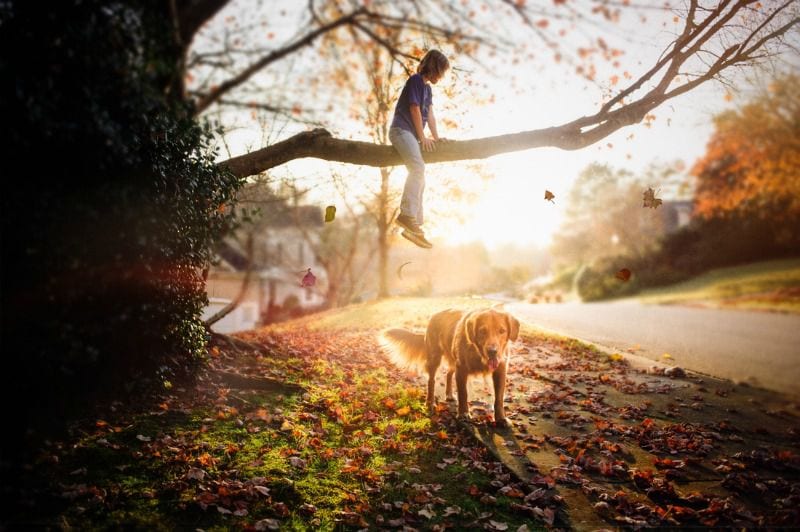 Sonnenuntergang mit Hund