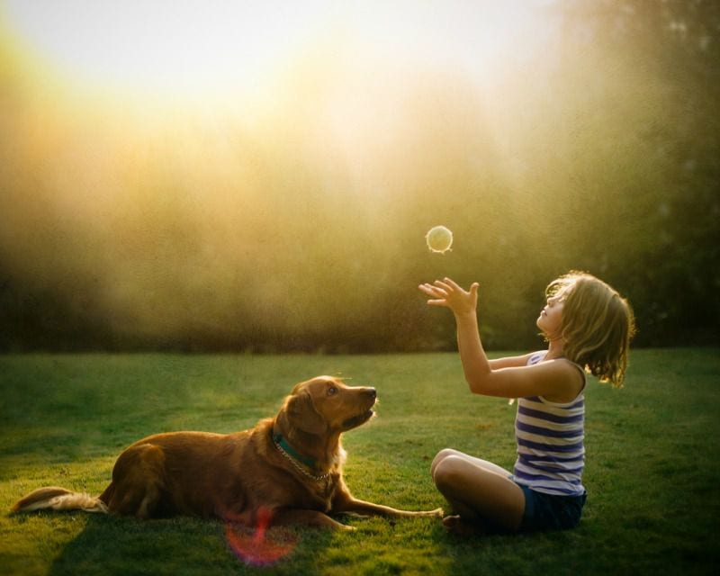 Spielen mit dem Hund im Sonnenuntergang