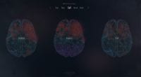 Brain Poker