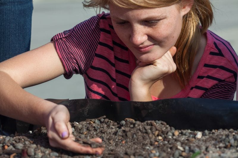 NYC Greenroof Girl