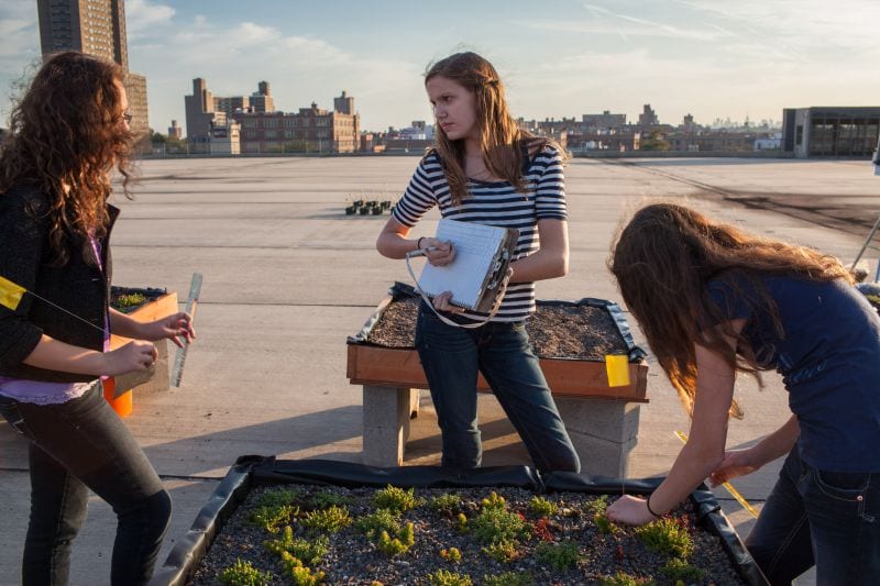 NYC Greenroof Educational Visit