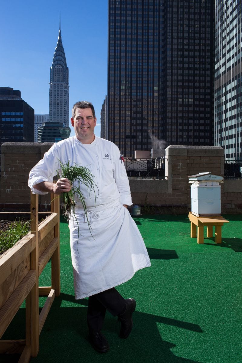 NYC Greenroof David Garcelon