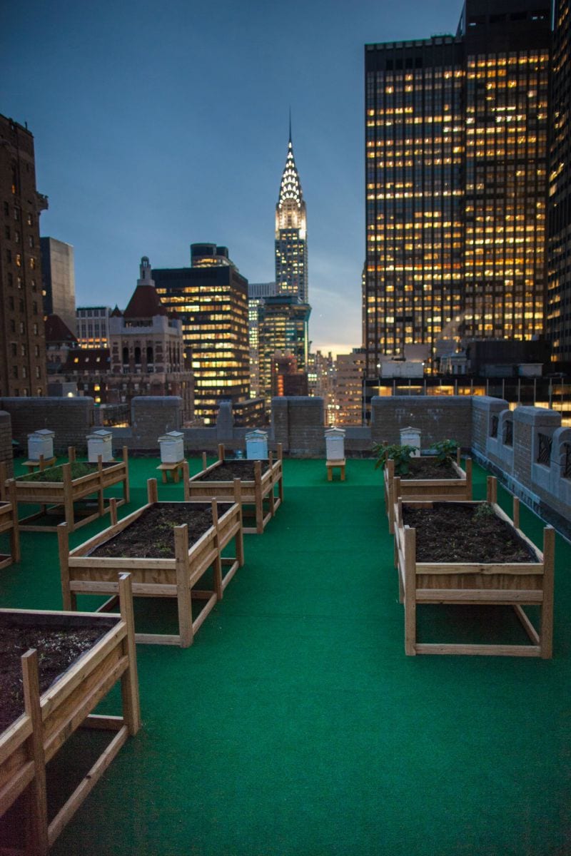 NYC Greenroof by Night