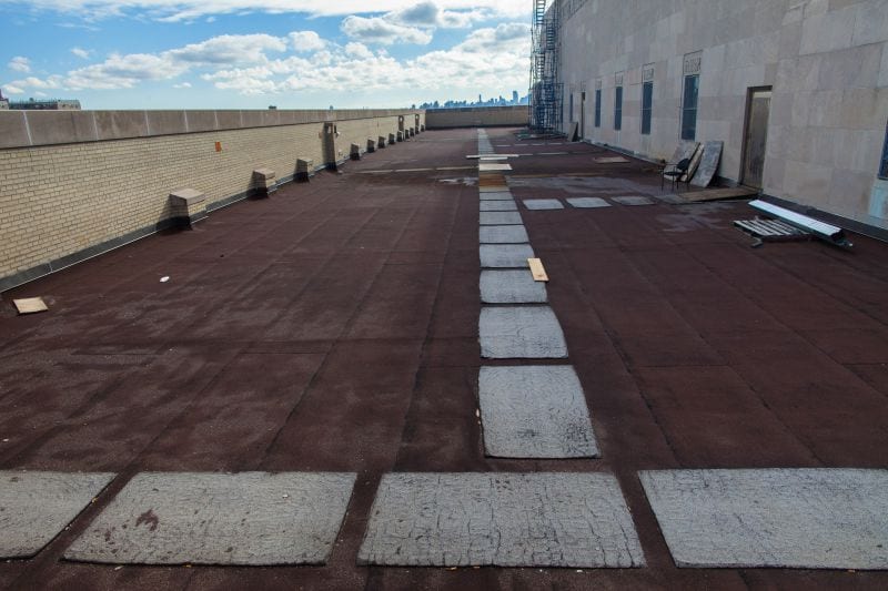 NYC Greenroof Bronx