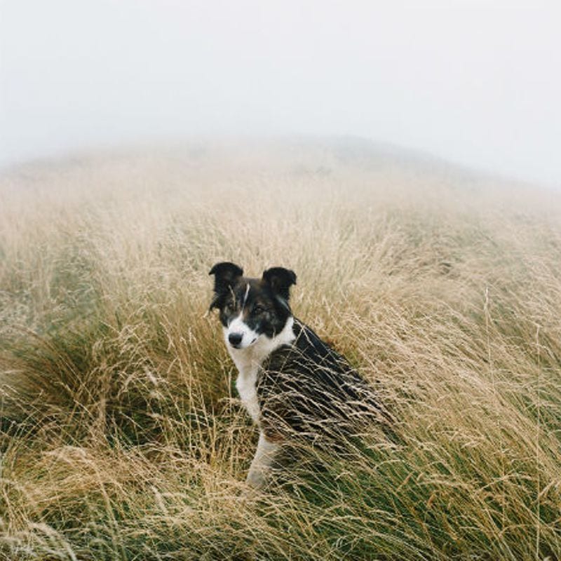 Scrublands Antoine Bruy 15