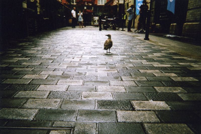 Cafe Art My London 10