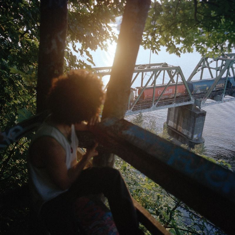 Swampy Train Trackside Treehouse