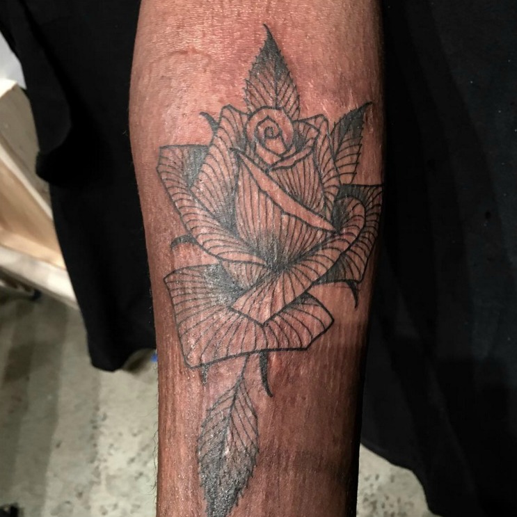 Whole Glory Scott Campbell