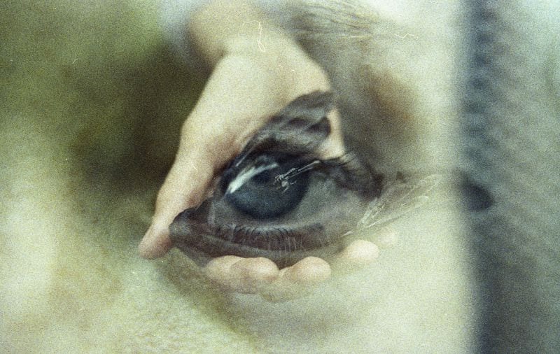 Tuanne Eggers