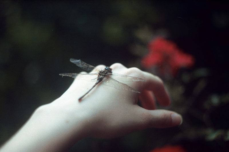 Tuanne Eggers