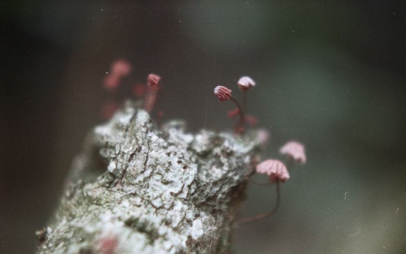 Tuanne Eggers