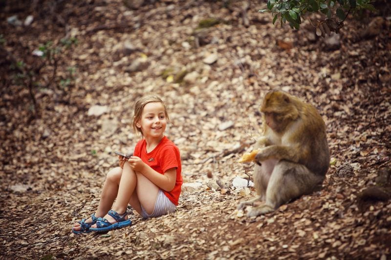 Mihai Barbu Road Trip Europe Child