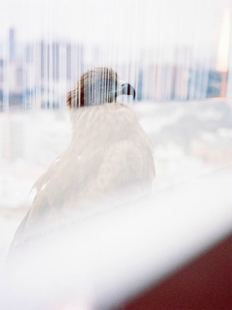 Party Shanghai Bilder