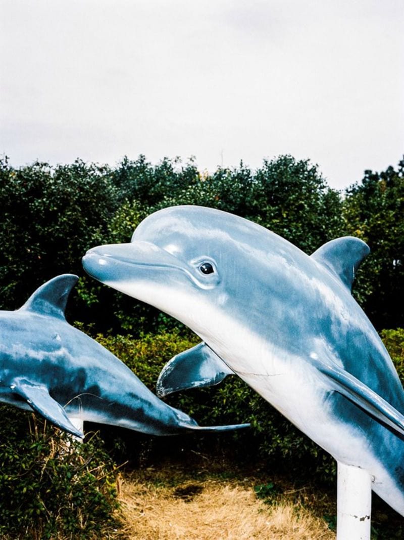 Party Shanghai Bilder