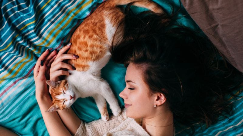 Photomicona Natalia Mindru Iubiri Urbane