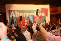 AfD Landtagswahl