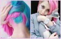 Katichka Collage Katze