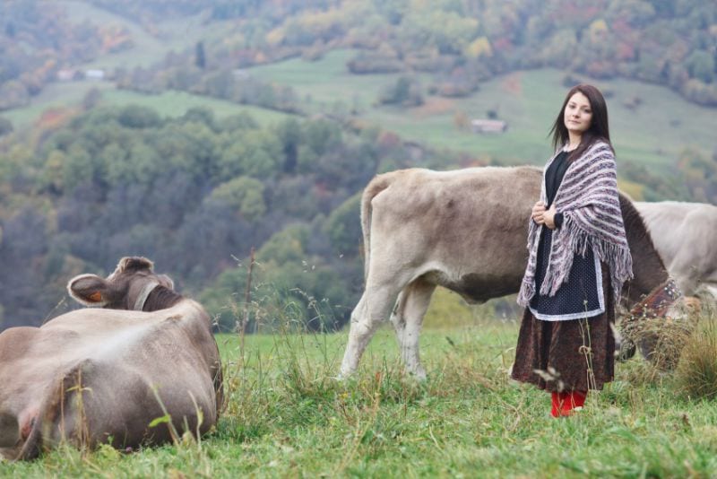 quest for beauty sara melotti