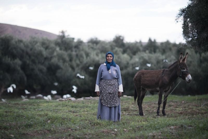 quest for beauty sara melotti