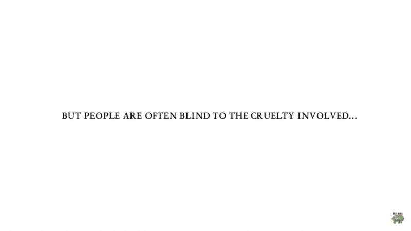 PETA Behind the Leather