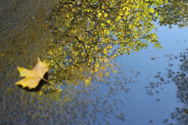 Situationen reflektieren