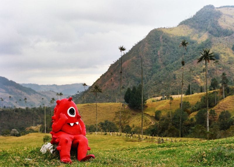 Monster -Sommerurlaub-Erlebnisse