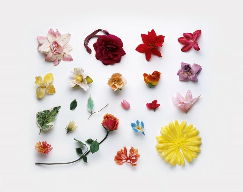 artificialflowers-strand