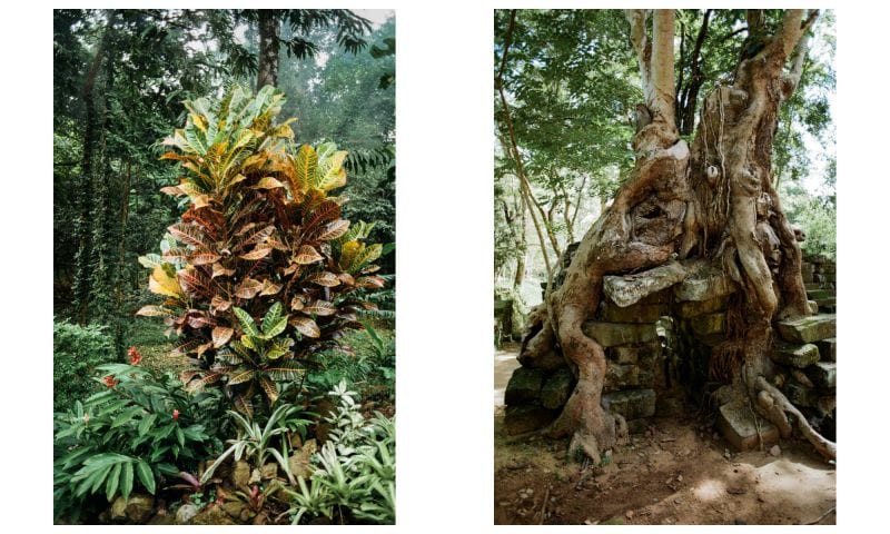 collage-duran-levinson-thailand-21