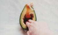 sara-avocado-hand