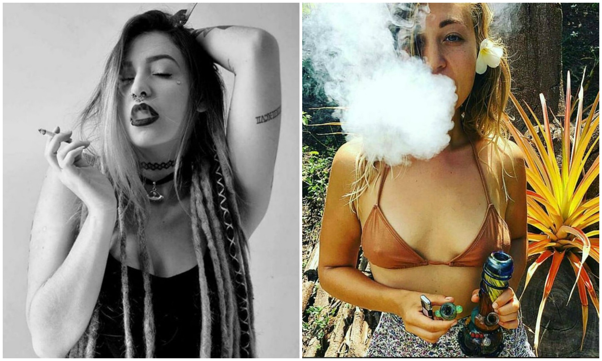 ladies-of-cannabis-collage