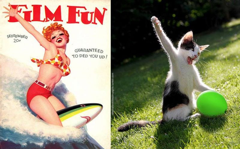 cats-that-look-like-pin-up-girls-13