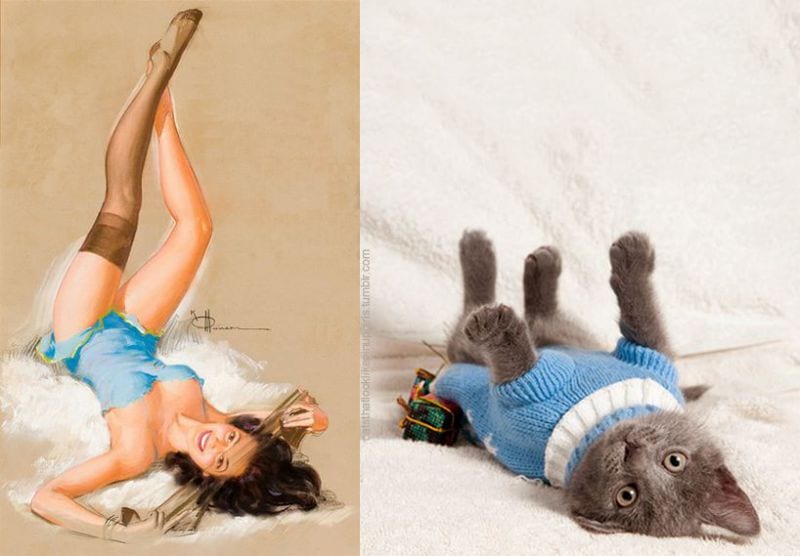 cats-that-look-like-pin-up-girls-21