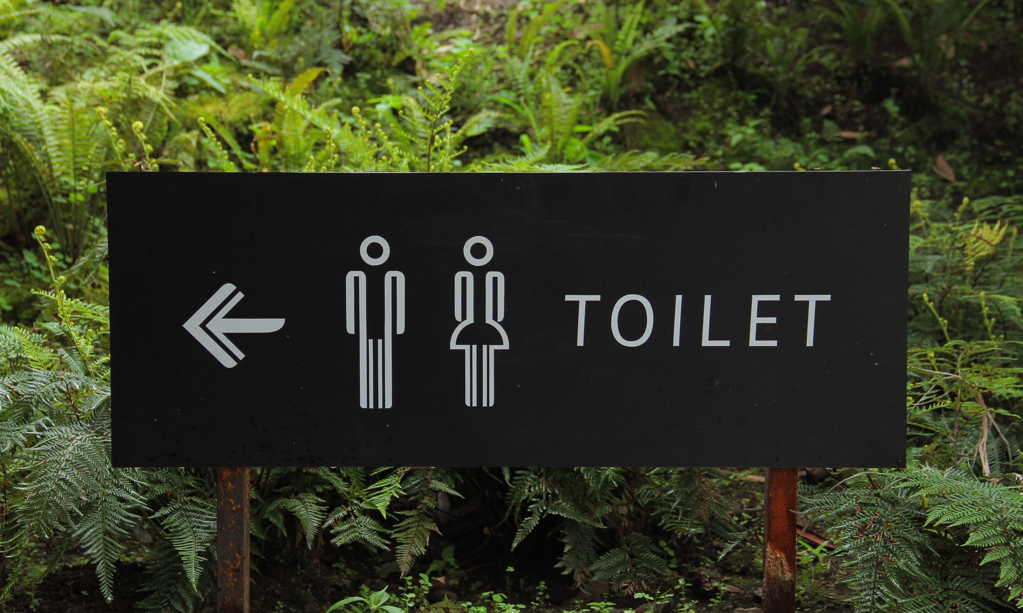 toilette-gender