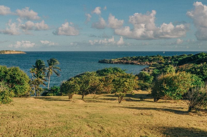 seasick-sailing-grenada-bild-8