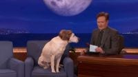 gosling-gate-conan-obrien