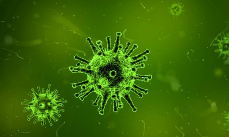 virus