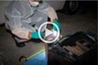 Kokain-Razzia-800-Millionen