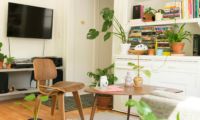 Tipp Raum Zimmer Groß Schön Kunst Pflanzen Student Studium Universität