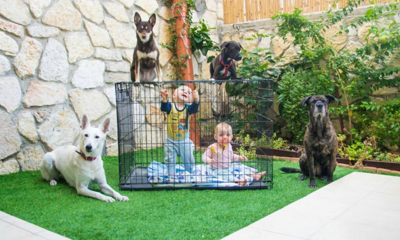 Babys Käfig Hunde Garten