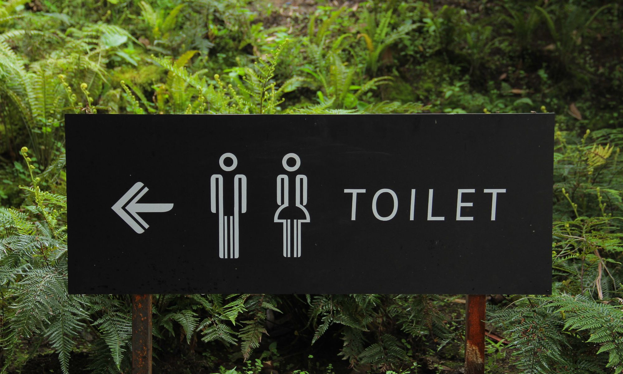 toilette umwelt ressourcen umweltschutz alternativen ressourcenverbrauch